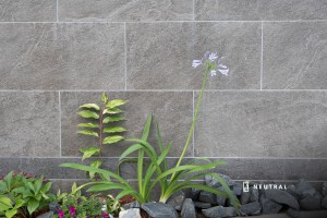 タイルの壁と植栽