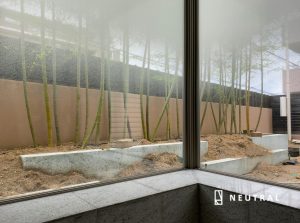 風呂から見る竹林