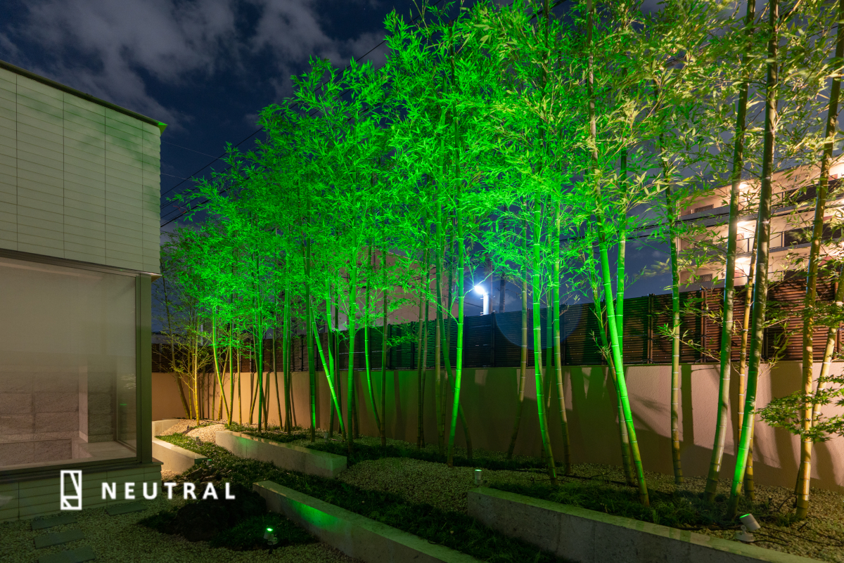 ライトアップした雑木の庭。自然樹形の植物と、先進のデザインや照明のギャップが幻想的な雰囲気を創り出しています。